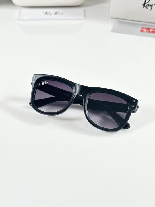 Raybann Reverse 0501 Black DC