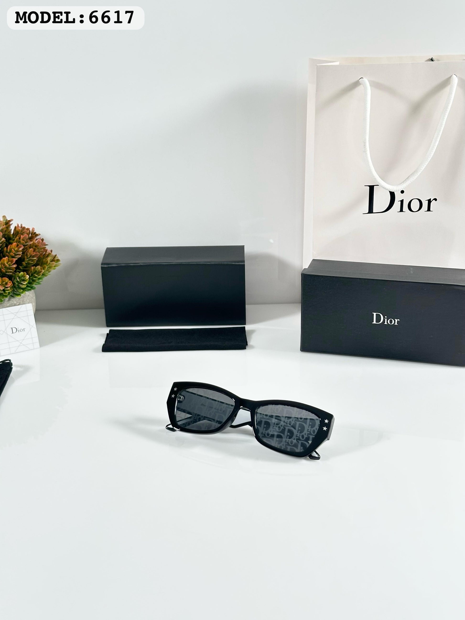 DIORR 6617 PRINTED BLACK WHITE
