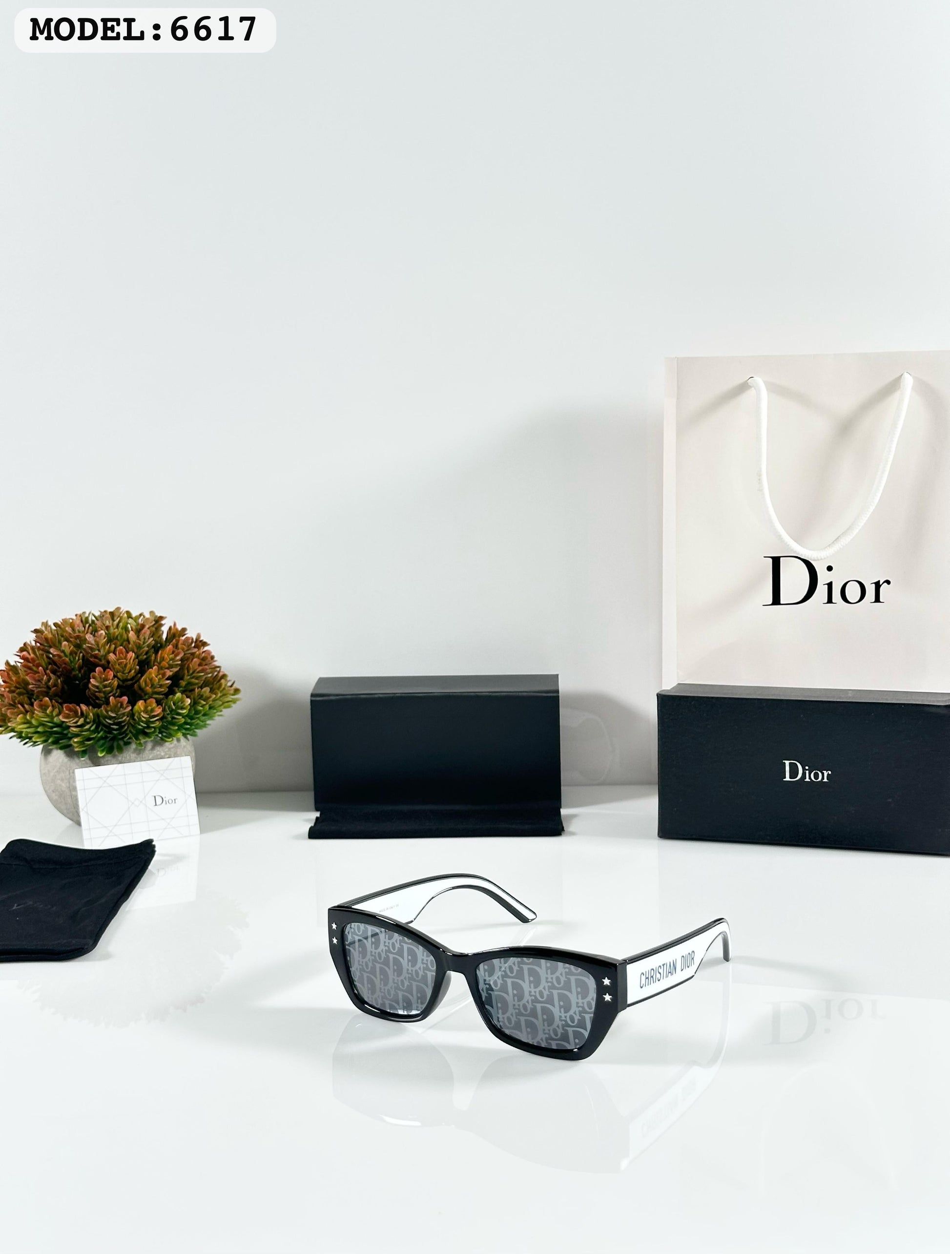 DIORR 6617 PRINTED BLACK WHITE