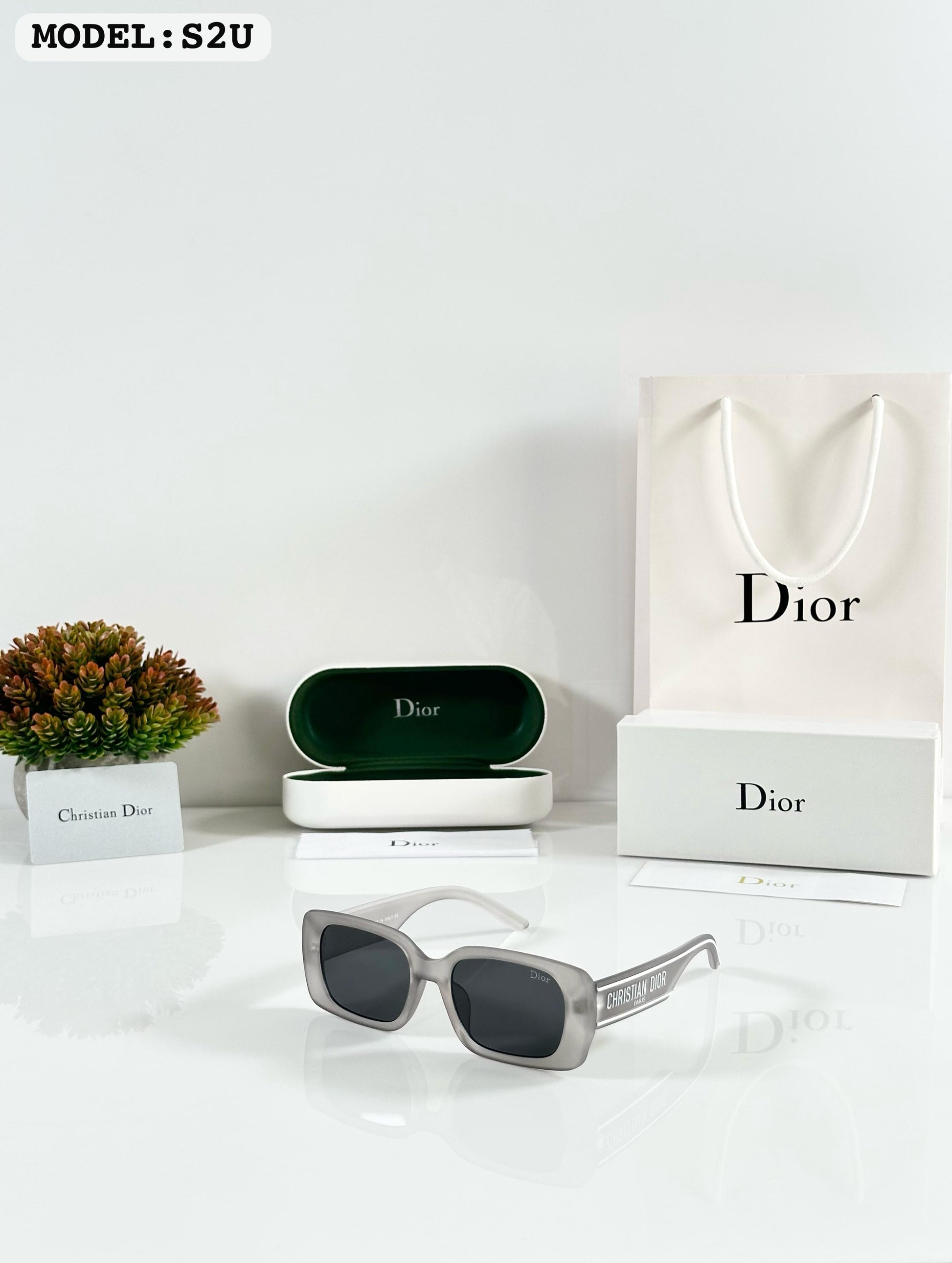DIORR S2U GREY BLACK