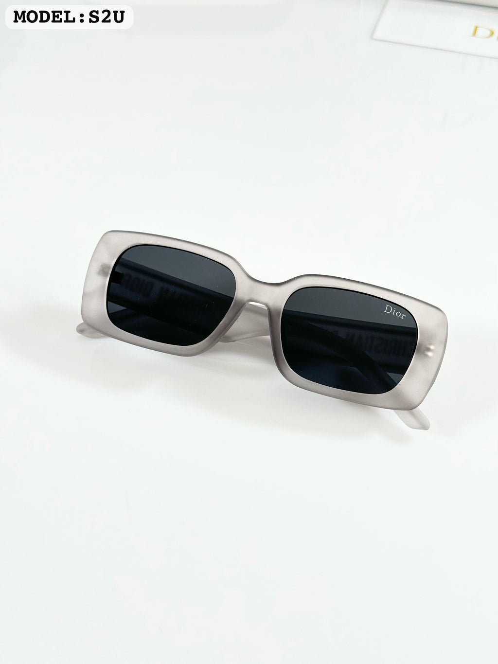 DIORR S2U GREY BLACK