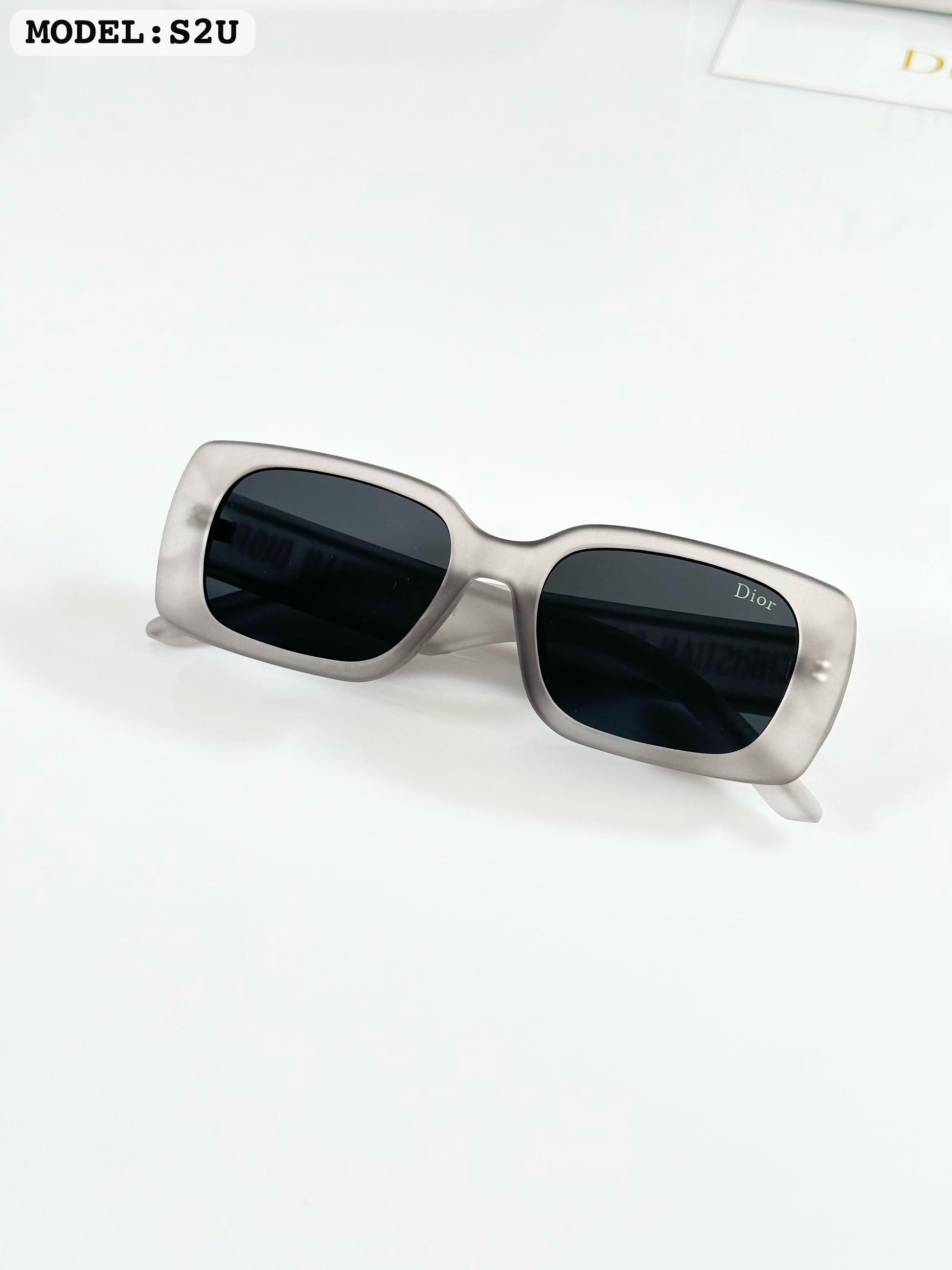 DIORR S2U GREY BLACK