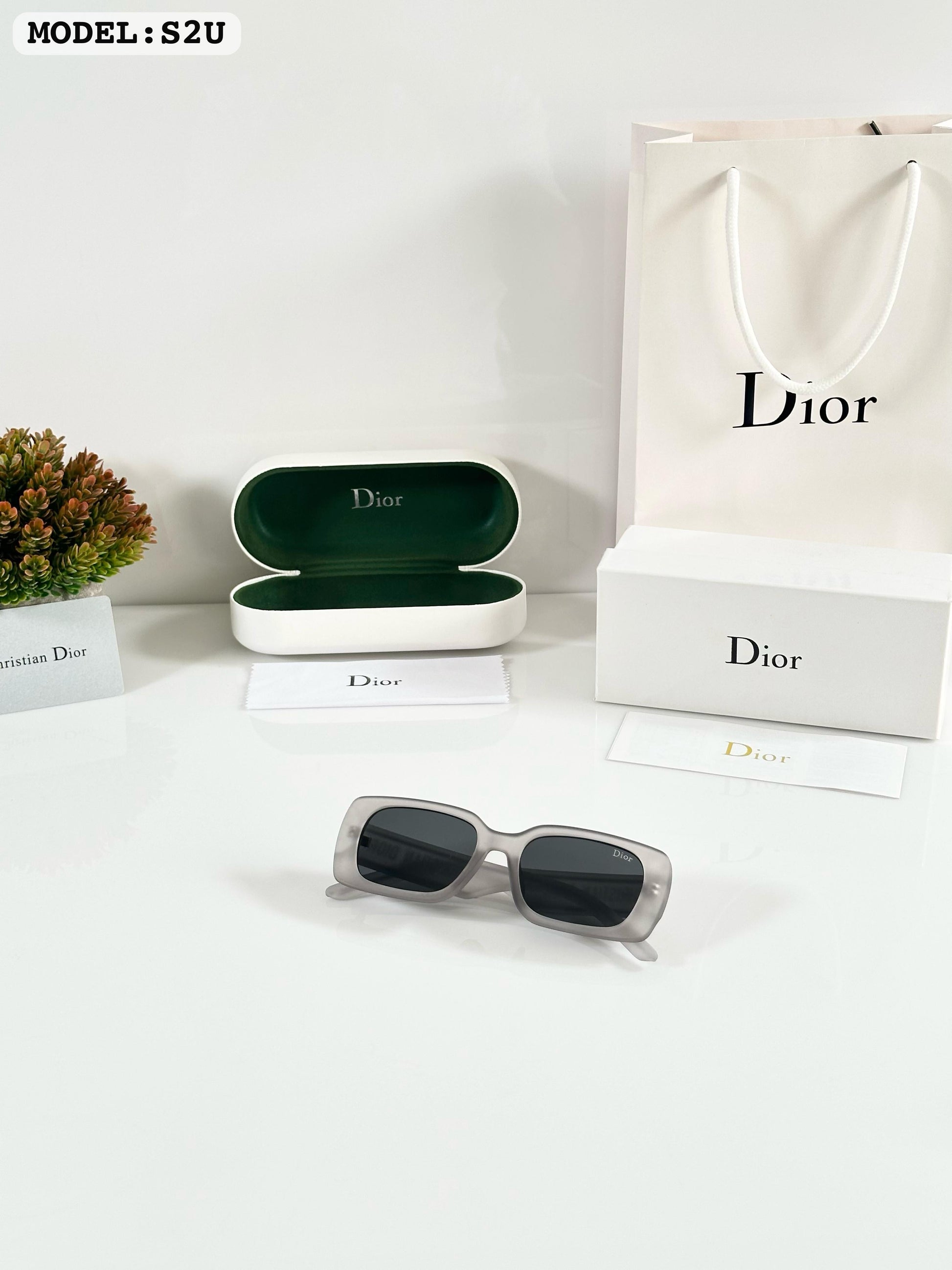DIORR S2U GREY BLACK